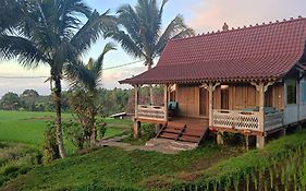 D'Ume Bendoel Homestay